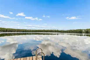 21105 Lake Vienna Dr, Land O Lakes, FL 34638 - Photo 91
