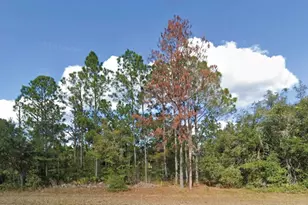 508 Palm Ave, Indian Lake Estates, FL 33855 - Photo 1