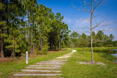 6681 Rucksack Road, Saint Cloud, FL 34771 - Photo 21