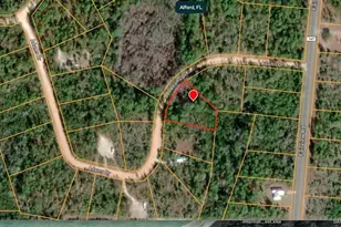Adams Dr, Alford, FL 32420 - Photo 1