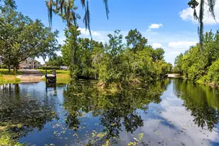 10430 Lake Cottage Ln, Orlando, FL 32836 - Photo 35