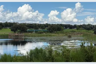 7921 Iceland Gull Street, Winter Garden, FL 34787 - Photo 41