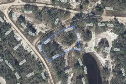 277 Sunway Drive, Lake Placid, FL 33852 - Photo 1