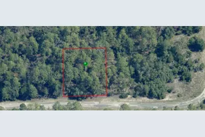 3861 W Firewood Loop, Citrus Springs, FL 34433 - Photo 5