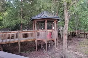 13427 Blue Heron Beach Dr, Orlando, FL 32821 - Photo 53