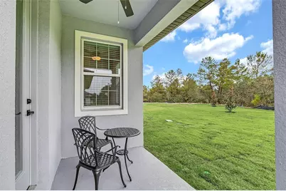 1390 Remick Court, Kissimmee, FL 34747 - Photo 27