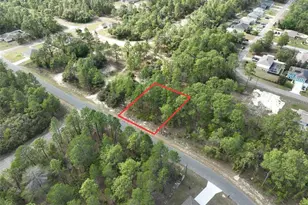 1921 W Riley Dr, Citrus Springs, FL 34434 - Photo 1
