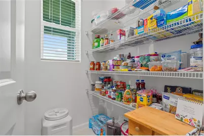 353 Free Range Drive, Groveland, FL 34736 - Photo 19