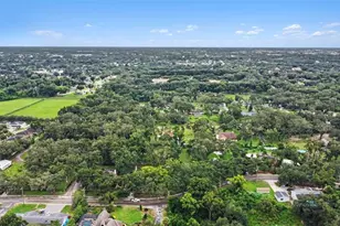1509 W Windhorst Rd, Brandon, FL 33510 - Photo 35