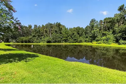 1677 Ludington Avenue, Wesley Chapel, FL 33543 - Photo 35