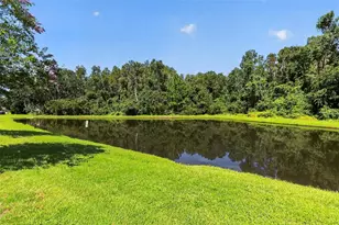1677 Ludington Ave, Wesley Chapel, FL 33543 - Photo 35