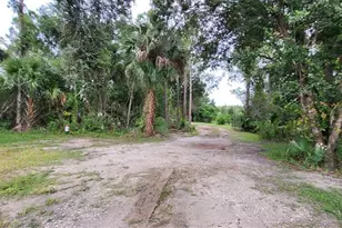 1685 E Osceola Rd, Geneva, FL 32732 - Photo 33