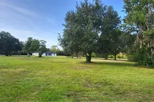 1685 E Osceola Rd, Geneva, FL 32732 - Photo 47