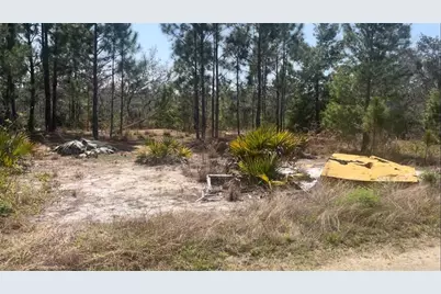 246 Caspian Tern Avenue, Sebring, FL 33870 - Photo 1