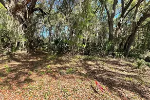 Guava Terrace, Ocklawaha, FL 32179 - Photo 1
