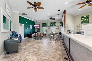 8667 La Isla Dr, Kissimmee, FL 34747 - Photo 21