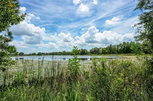 10112 State Road 33, Groveland, FL 34736 - Photo 85