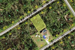 1542 Rambler Terrace, Port Charlotte, FL 33953 - Photo 1