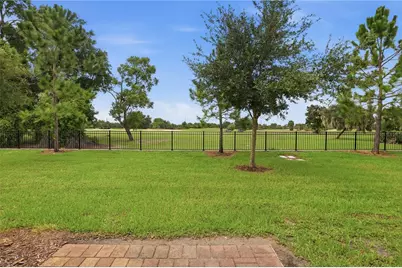 959 Robin Holly Street, Ocoee, FL 34761 - Photo 31