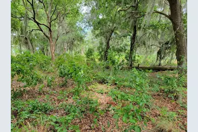 E Lake Shore Boulevard, Kissimmee, FL 34744 - Photo 5
