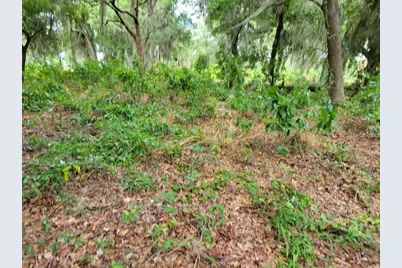 E Lake Shore Boulevard, Kissimmee, FL 34744 - Photo 9