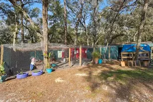 1208 Darcy Rd, Lady Lake, FL 32159 - Photo 29