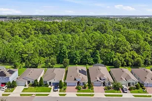 17932 Passionflower Cir, Clermont, FL 34714 - Photo 45