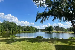 13560 Turtle Marsh Loop, Orlando, FL 32837 - Photo 17