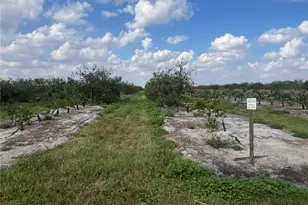 NE Hwy 70, Arcadia, FL 34266 - Photo 1