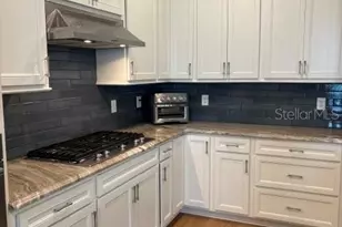 18498 Coastal Shr Ter, Land O Lakes, FL 34638 - Photo 9
