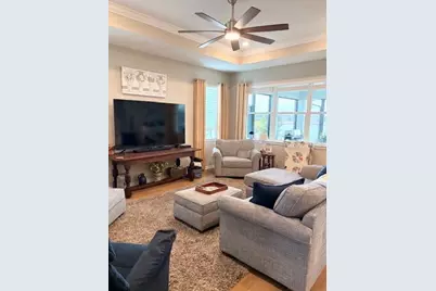 18498 Coastal Shore Terrace, Land O Lakes, FL 34638 - Photo 15