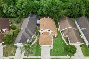 11272 Papyrus Ln, Orlando, FL 32821 - Photo 39