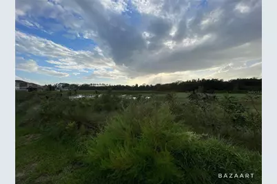 1441 Sawgrass Hammock Lane, Davenport, FL 33837 - Photo 5