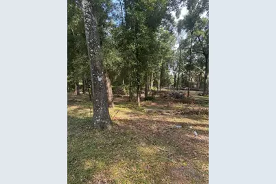 Tbd SW 111th Lane, Dunnellon, FL 34432 - Photo 3