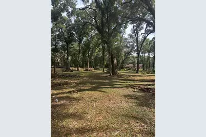 Tbd SW 111th Lane, Dunnellon, FL 34432 - Photo 1