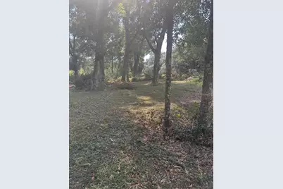 Tbd SW 111th Lane, Dunnellon, FL 34432 - Photo 5