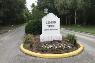 2512 Lemon Tree Ln, Orlando, FL 32839 - Photo 3