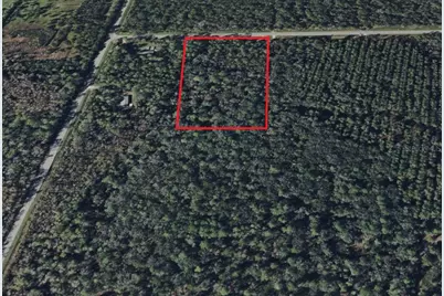 000 Water Oak Road, Bunnell, FL 32110 - Photo 3