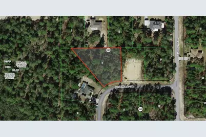 8670 N Lindhurst Circle, Citrus Springs, FL 34433 - Photo 1