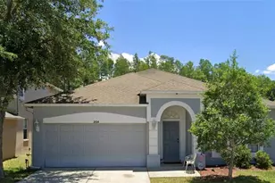 3154 Downan Point Dr, Land O Lakes, FL 34638 - Photo 1