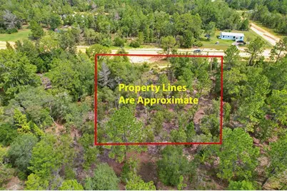 515 Interlachen Boulevard, Interlachen, FL 32148 - Photo 1