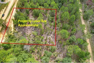 515 Interlachen Boulevard, Interlachen, FL 32148 - Photo 3