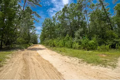 202 Utah Street, Satsuma, FL 32189 - Photo 9
