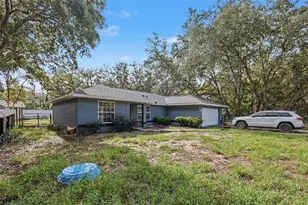 135 Fisher Way Trail, Ocklawaha, FL 32179 - Photo 3