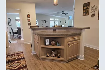 3931 Cohen Drive #734, Zellwood, FL 32798 - Photo 23