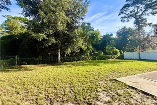 2804 Lightwood St, Deltona, FL 32738 - Photo 13