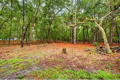 7550 SW 185th Circle, Dunnellon, FL 34432 - Photo 47