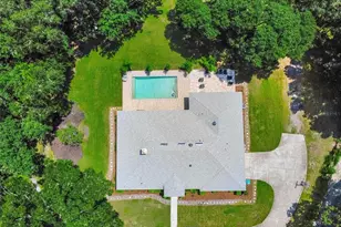 17 Dingo Pl, Apopka, FL 32712 - Photo 43