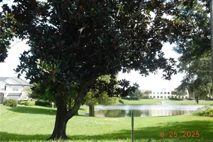 6100 Stevenson Dr, Orlando, FL 32835 - Photo 47