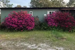 31304 Hillside Dr, Deland, FL 32720 - Photo 1
